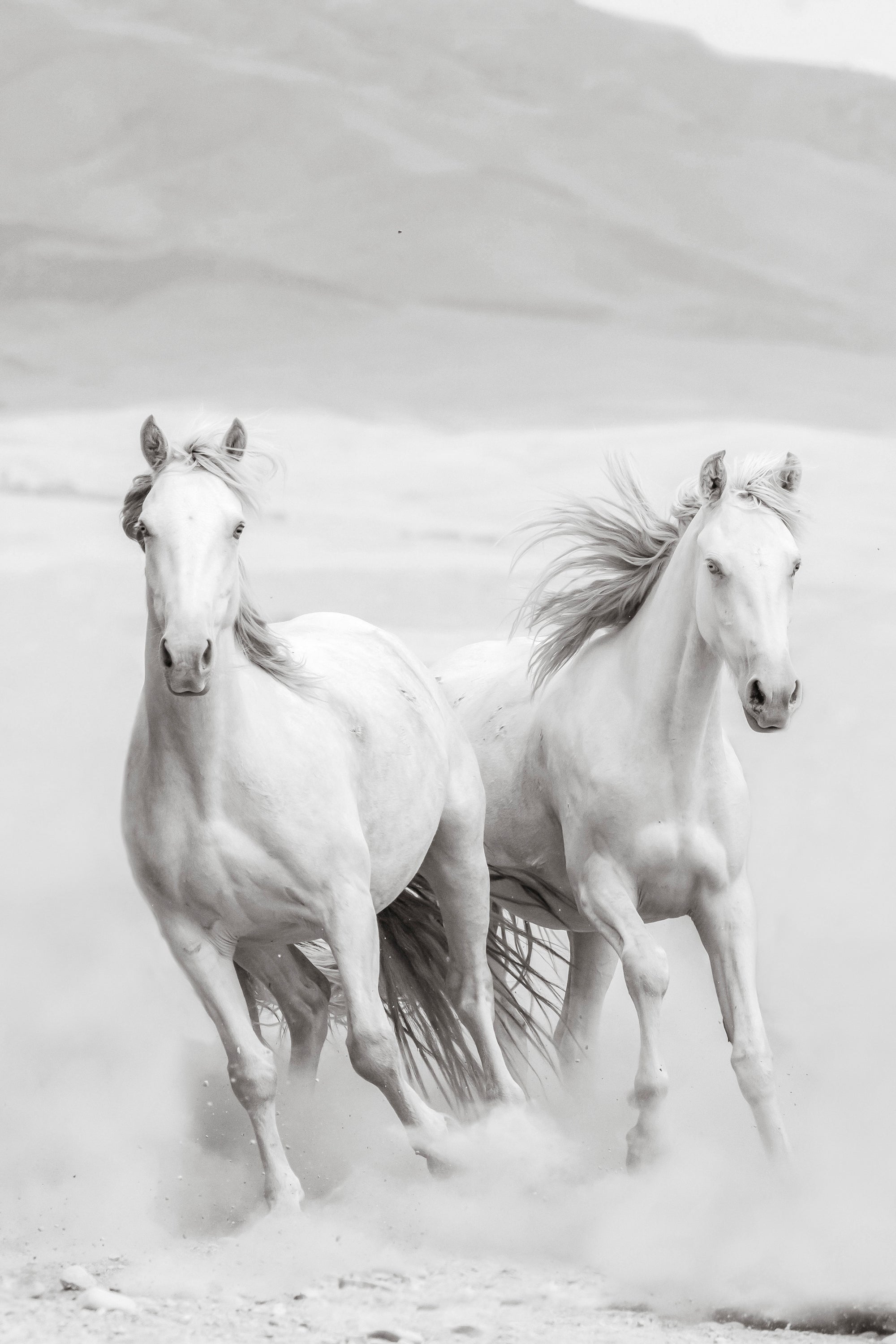 DESERT ANGELS