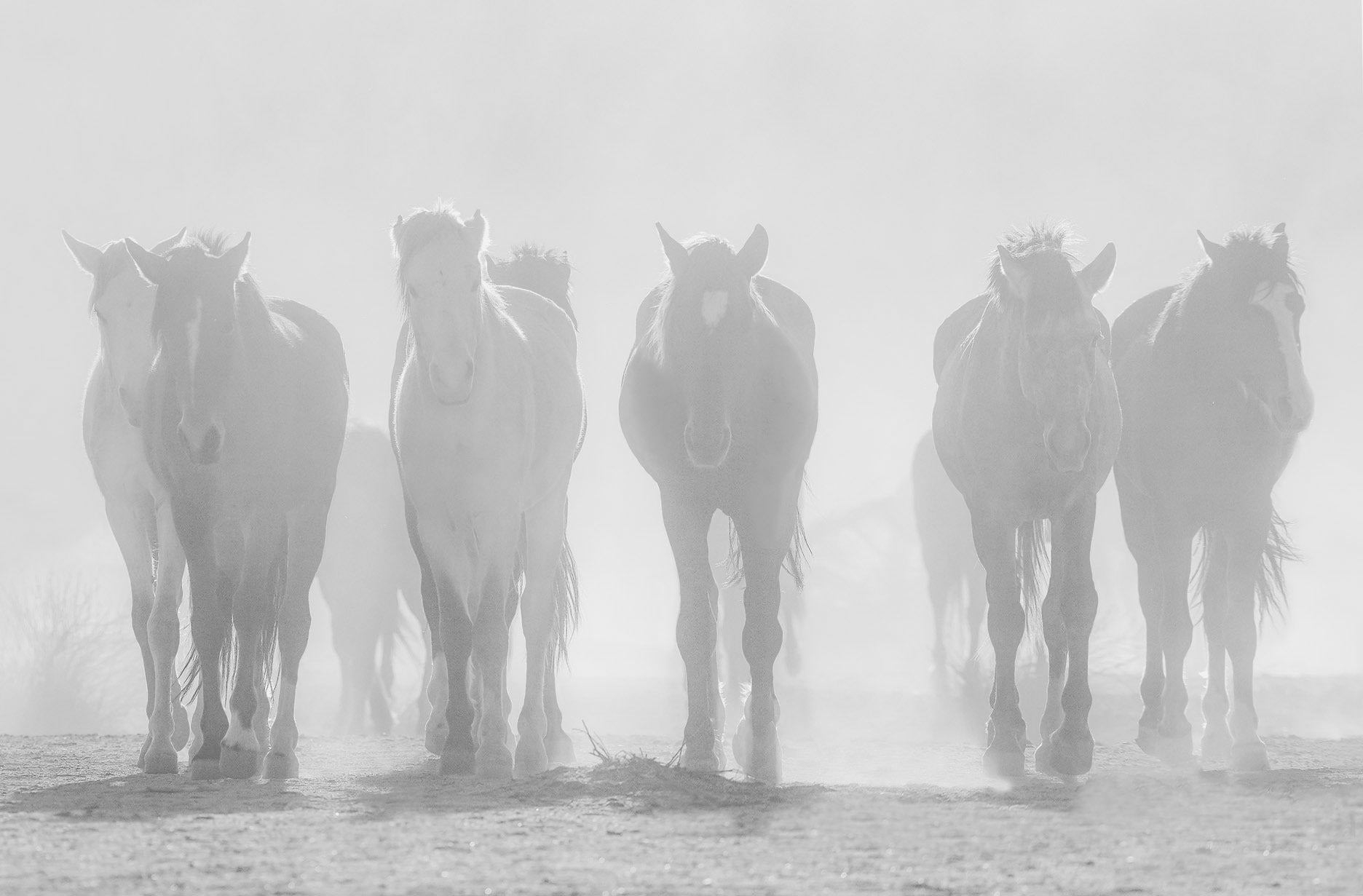 OUT OF THE DUST