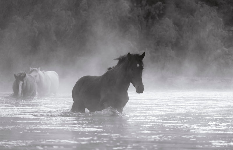 RIVER CROSSING