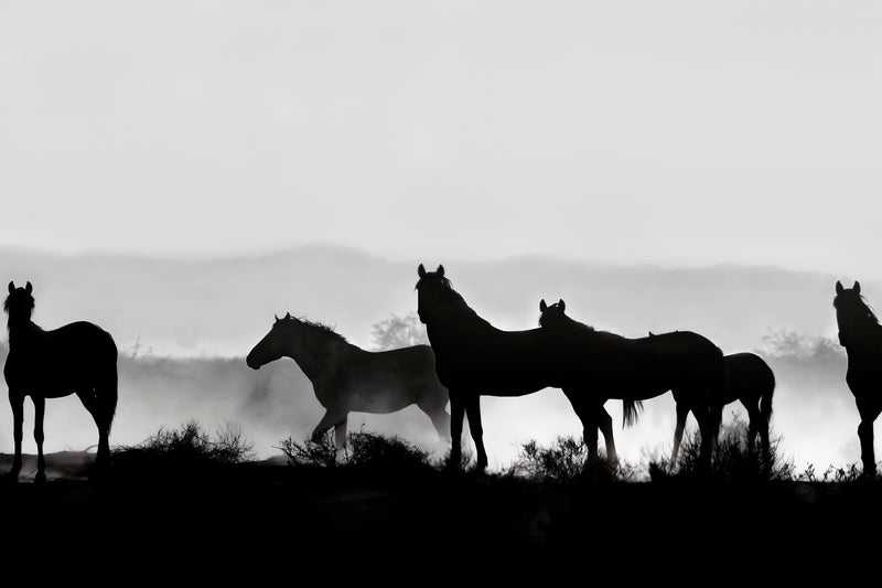 SHADOWS ON THE HORIZON