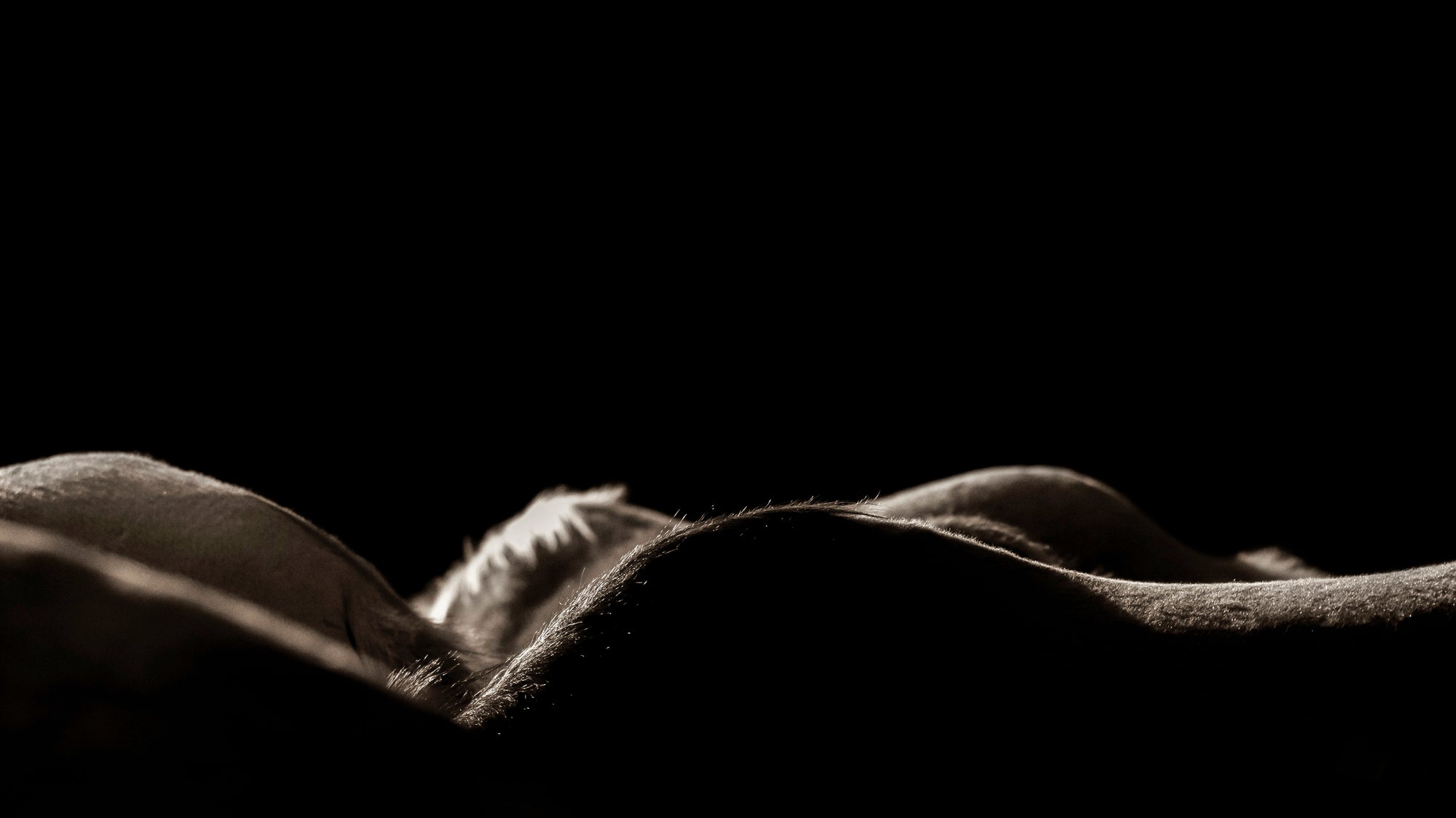UNDULATIONS I